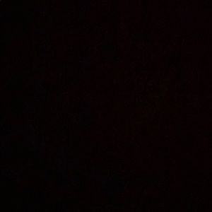 Meet your Posher, Kamryn